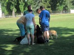 bemutat� M�riak�lnok 2013.08.03.