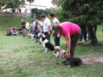 borfesztiv�l2013