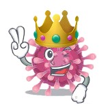 korona
