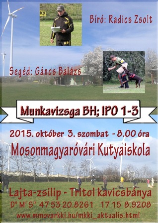 mvizsga 2015